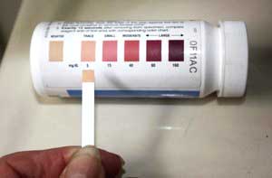 keton-urin-teststreifen