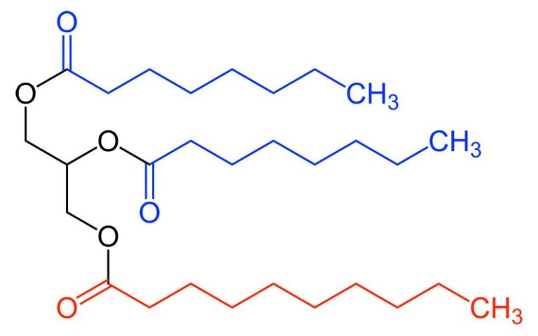 Triglyceride senken: 9 Tipps um Triglyceridwerte zu reduzieren [2023]