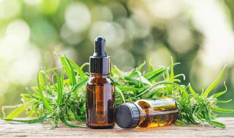 cbd-oel-hanf